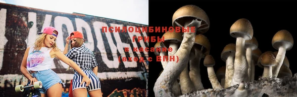 СК Няндома
