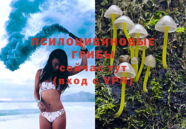 СК Няндома