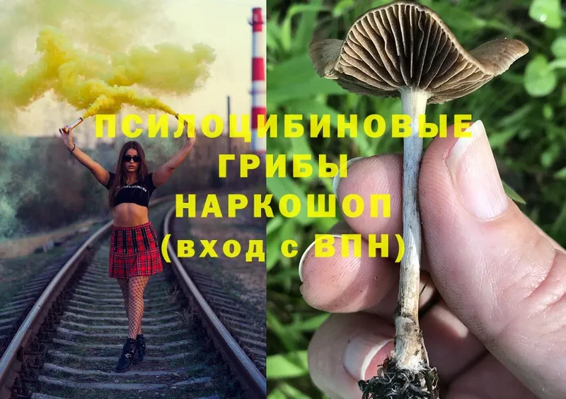 наркотики  Алдан  Галлюциногенные грибы Magic Shrooms 