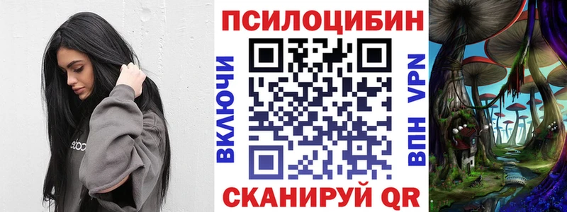 купить наркотик  omg ссылка  Псилоцибиновые грибы Psilocybe  Алдан 
